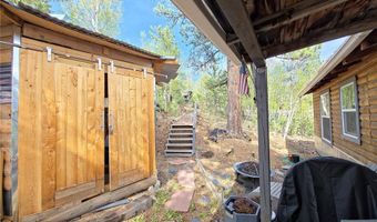 226 Hall Rd, Bailey, CO 80421