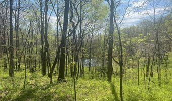 10515 Paw Paw Springs Rd, Arrington, TN 37014