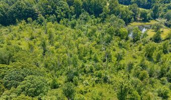 262 40th St, Allegan, MI 49010