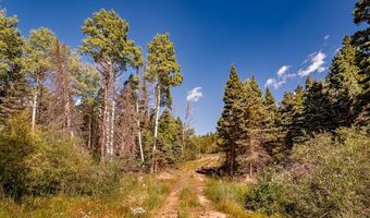 County Rd 46, Aguilar, CO 81020