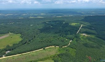 29 Ac Silo Rd, Altoona, AL 35952