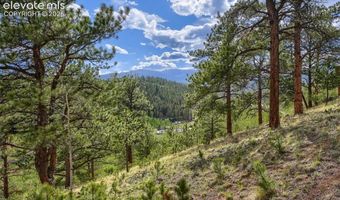 226 Hall Rd, Bailey, CO 80421