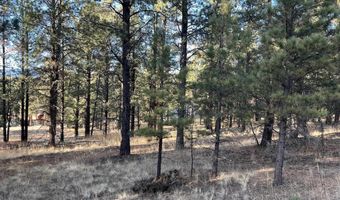 Jackson Hole lot 14, Angel Fire, NM 87710