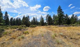 Swan Drive 16 & 17, Bonanza, OR 97623