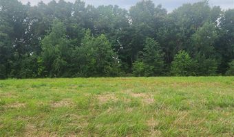 Smiths Grove Church Road, Adairville, KY 42202
