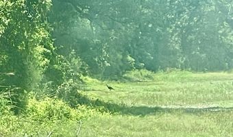 Bolivar Road, Benoit, MS 38725