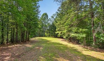 2025 Soap Creek Rd, Ball Ground, GA 30107