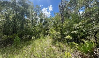 Lot 11 11th Ave, Bell, FL 32619