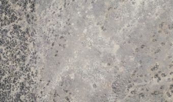 10739 Gadwall Ave, Deeth, NV 89801