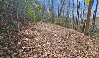 Warrior Way lot 16, Andrews, NC 28901