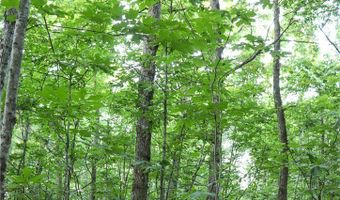 Whiskey Creek Lane, Batesville, AR 72501