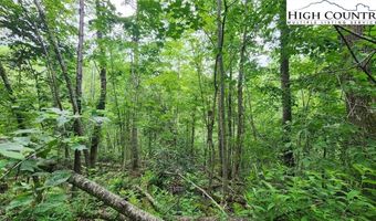 Tbd Teaster Valley Lane, Banner Elk, NC 28604