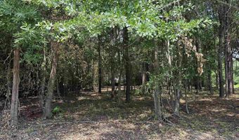 TBD S Rosemary Ave, Andrews, SC 29510
