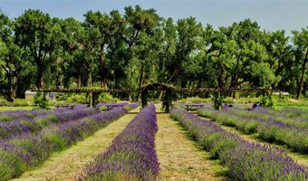 PURPLE ADOBE LAVENDER FARM 25 Private Drive 1622, Abiquiu, NM 87510