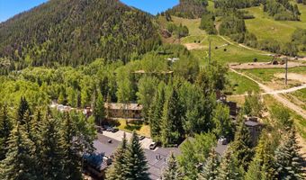 700 Ute Ave 213, Aspen, CO 81611