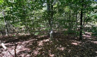 VL Lake Drive lot 174/175, Allegan, MI 49010