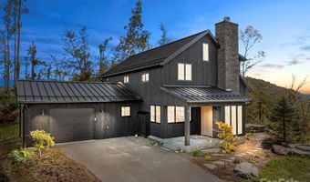 41 Windy Ridge Trl, Asheville, NC 28804