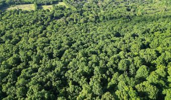 Whiskey Creek Lane, Batesville, AR 72501