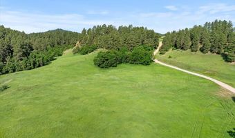 Tract 5 Lone Elk Ranch, Alva, WY 82711