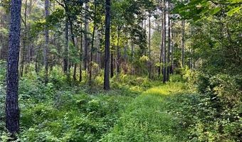 Parcel 3 WARD LINE Road lot Par 3, Bogalusa, LA 70427