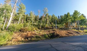 1037 Snow Crest Rd, Alpine Meadows, CA 96146