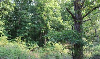 999 Whites Crossing Rd, Ashland, MS 38603