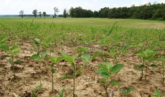 0 County Road 259, Advance, MO 63730