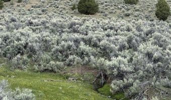 Wall Canyon Reservoir Road, Gerlach, NV 89412