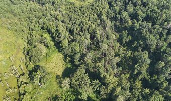 Swamp Road, Beech Island, SC 29842