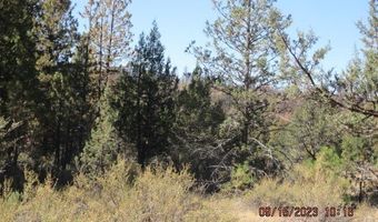 Jaguar Lane Lot 29, Bonanza, OR 97623