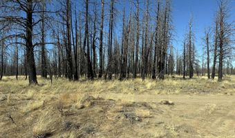 Mahogany Lane 200, Beatty, OR 97621