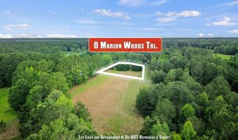 1 Marion Woods Trl, Bonneau, SC 29431