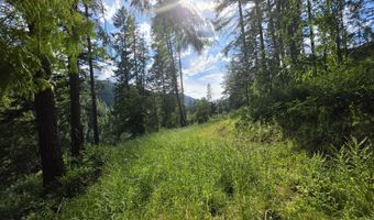 480 Dunn Peak Rd, Avery, ID 83802
