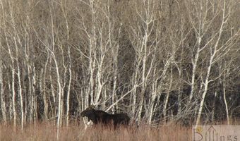 Stagecoach Spur W lot 935-3, Belfry, MT 59008