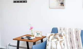 210 E Cooper Ave 3E, Aspen, CO 81611