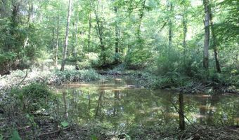 Us-51, Bogue Chitto, MS 39629