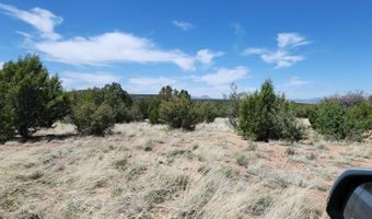 Ranch And Cattle lot 13, Ash Fork, AZ 86320