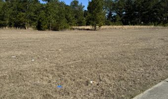 DUNBARTON Boulevard, Barnwell, SC 29812