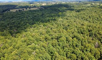 County Road 304, Alton, MO 65606