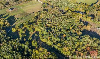 VL 61acres 34th, Allegan, MI 49010