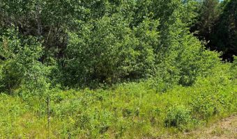 2 5 Acres County Road C, Arkdale, WI 54613