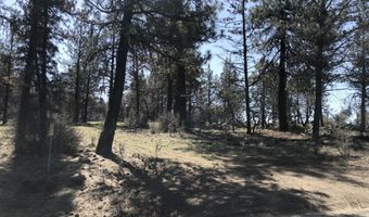 0 Jaguar Ln Lot 4, Bonanza, OR 97623