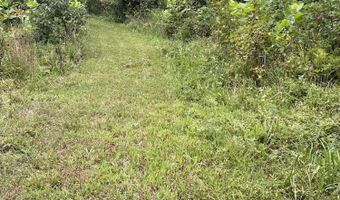 County Road P-305, Ava, MO 65608