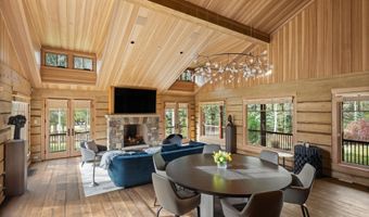 100 Difficult Ln, Aspen, CO 81611