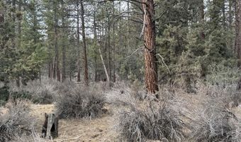 Bufflehead Drive TL 10, Bonanza, OR 97623