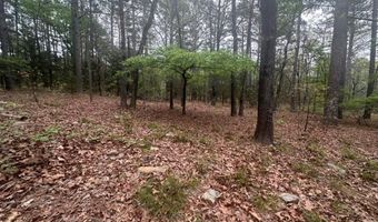 UNIT # 263B KIAMICHI WILDERNESS RD Unit # 63 63, Antlers, OK 74523