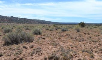 N8577 18, Concho, AZ 85924