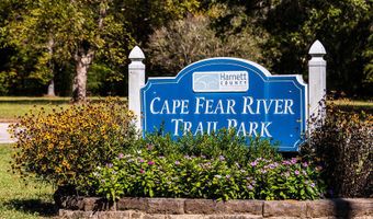 290 Blue Butterfly Dr, Angier, NC 27501