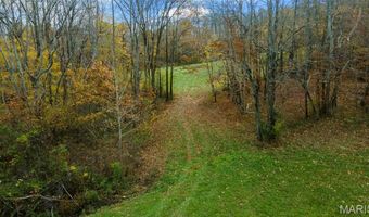 0 County Road 259, Advance, MO 63730