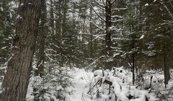 9606 Munger Rd, Afton, MI 49705